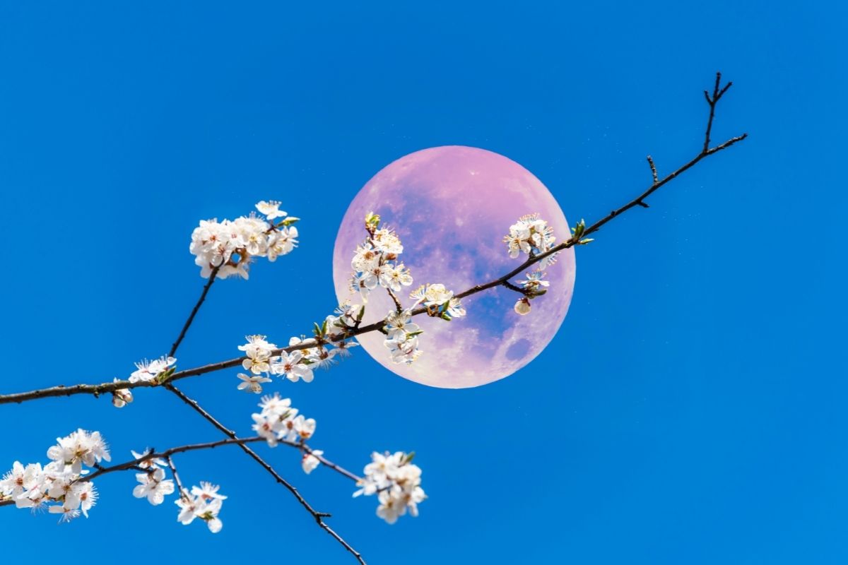 How To Manifest On A Pink Moon