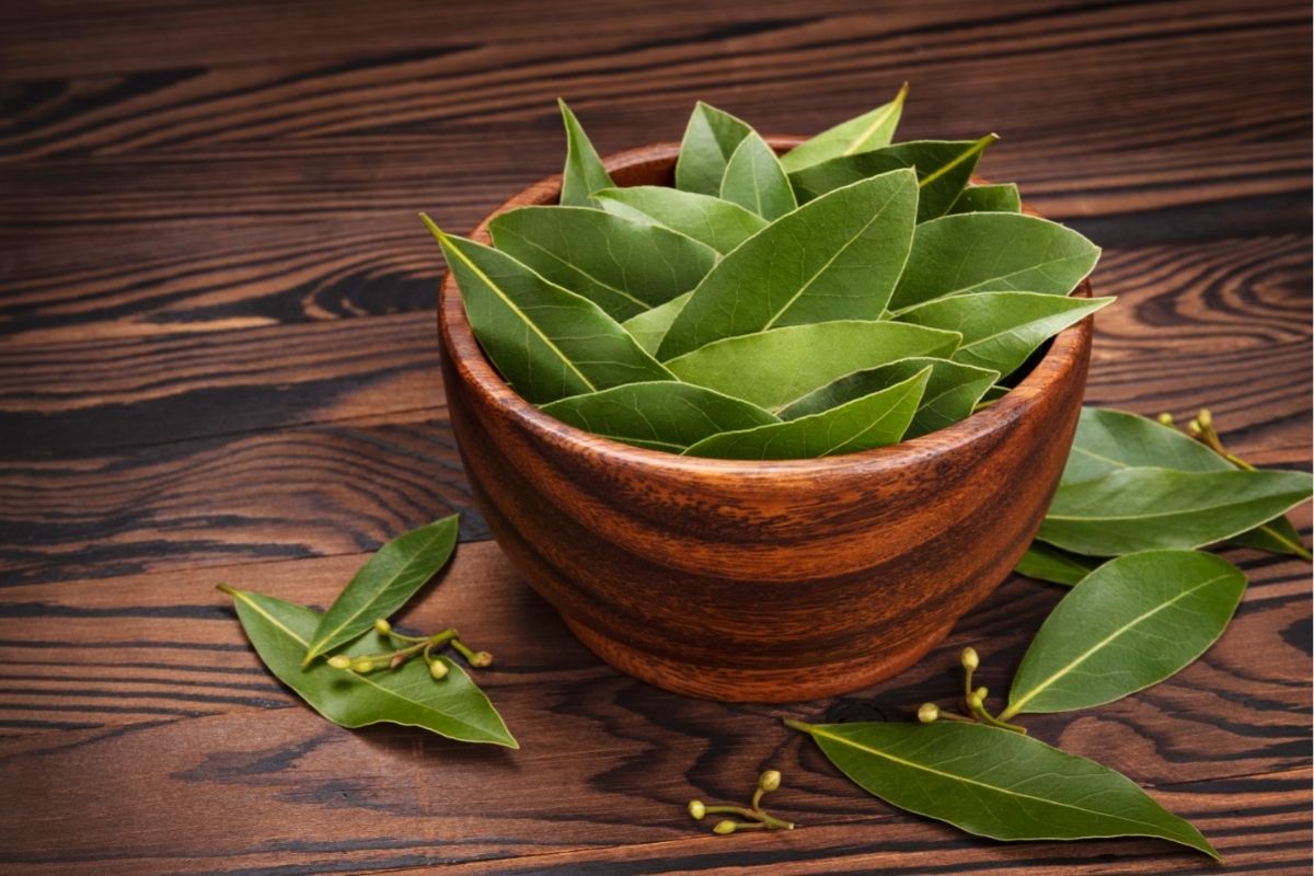 How To Manifest With Bay Leaves