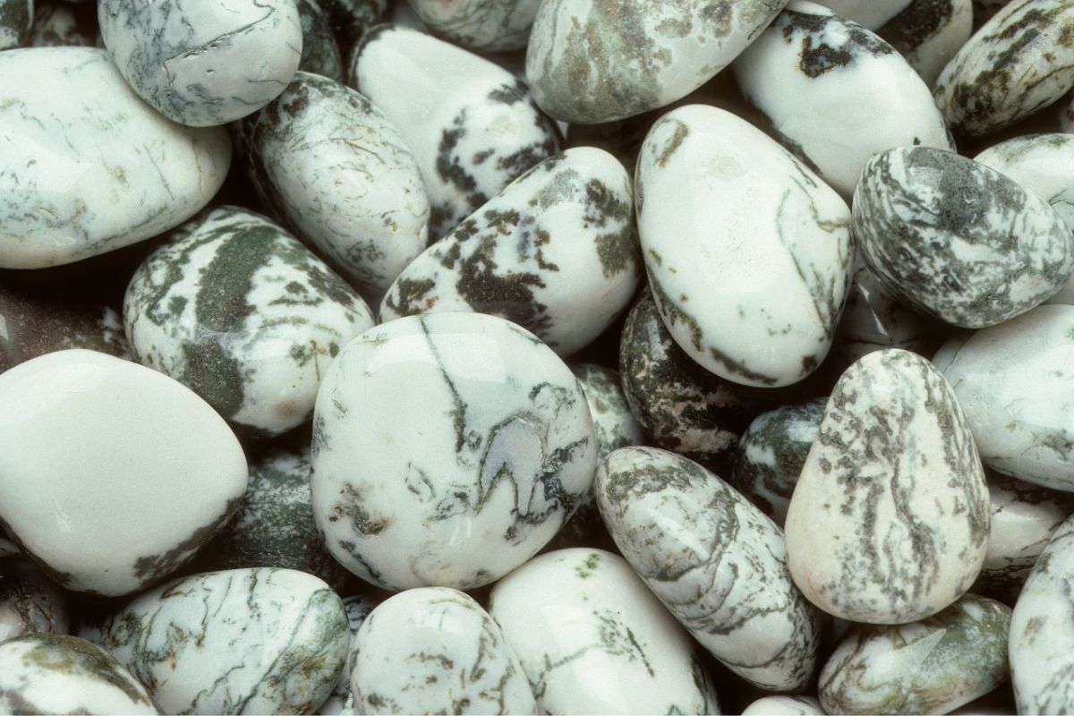 The Meanings Of Tree Agate 